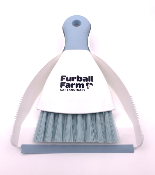 Dust Pan and Brush