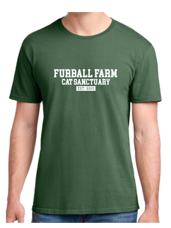 FFCS Established