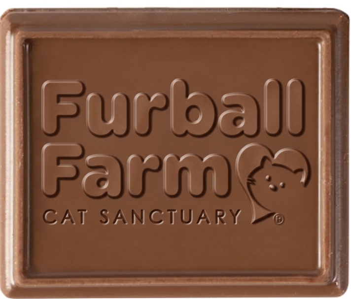 FFCS Chocolate Covered Graham Cracker Snack