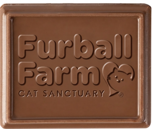FFCS Chocolate Covered Graham Cracker Snack