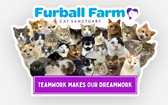 Furball Farm Cat Magnet