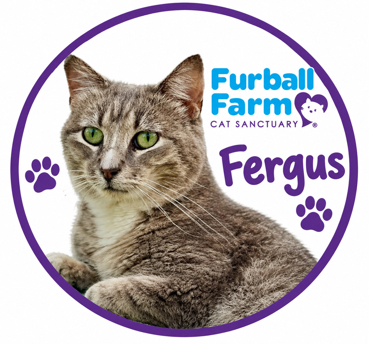 Furball Farm Cat Magnet