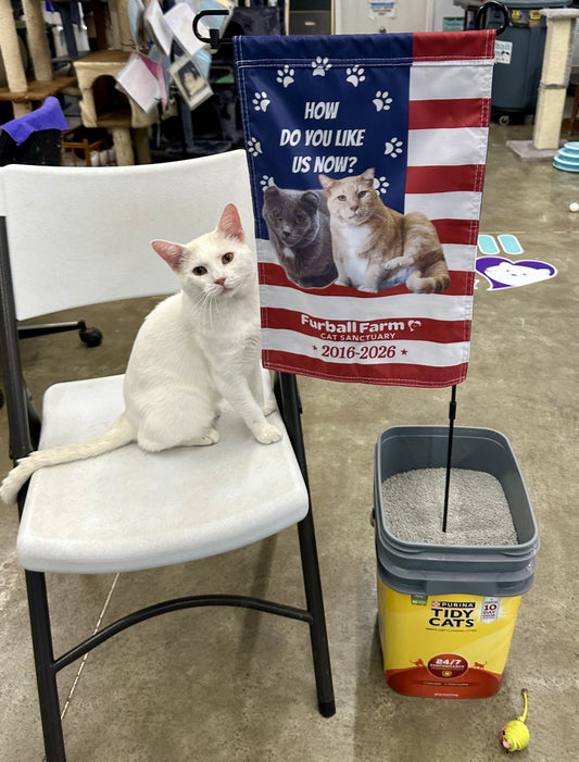 FFCS How Do You Like Us Now Flag