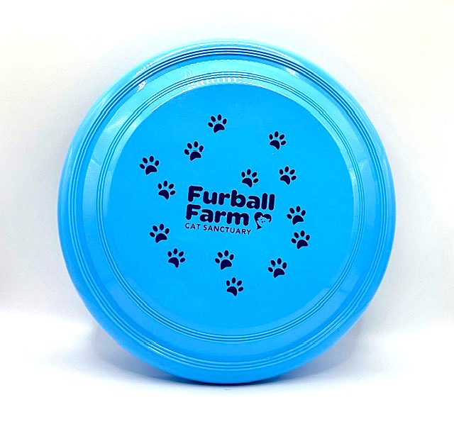 Frisbee