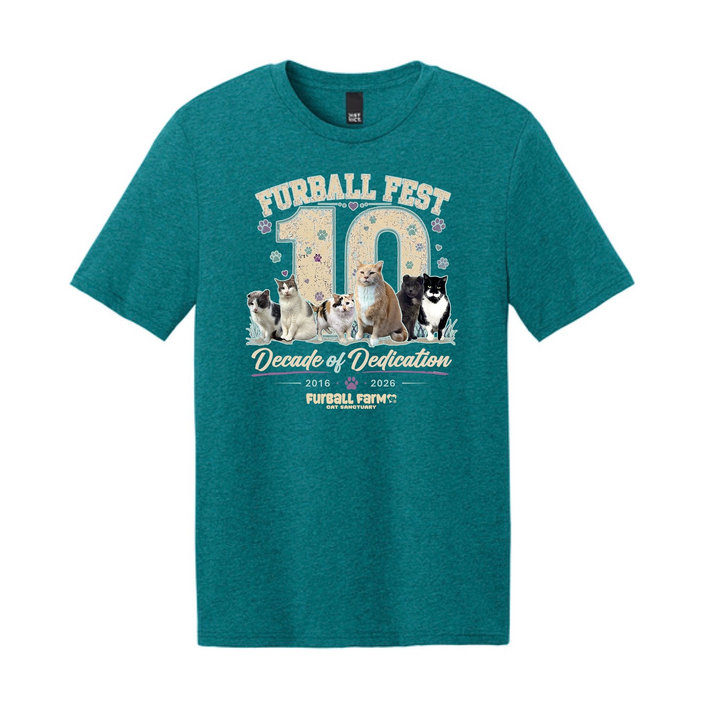 Furball Fest Decade