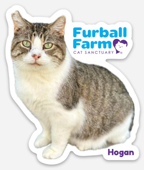 Furball Farm Cat Magnet