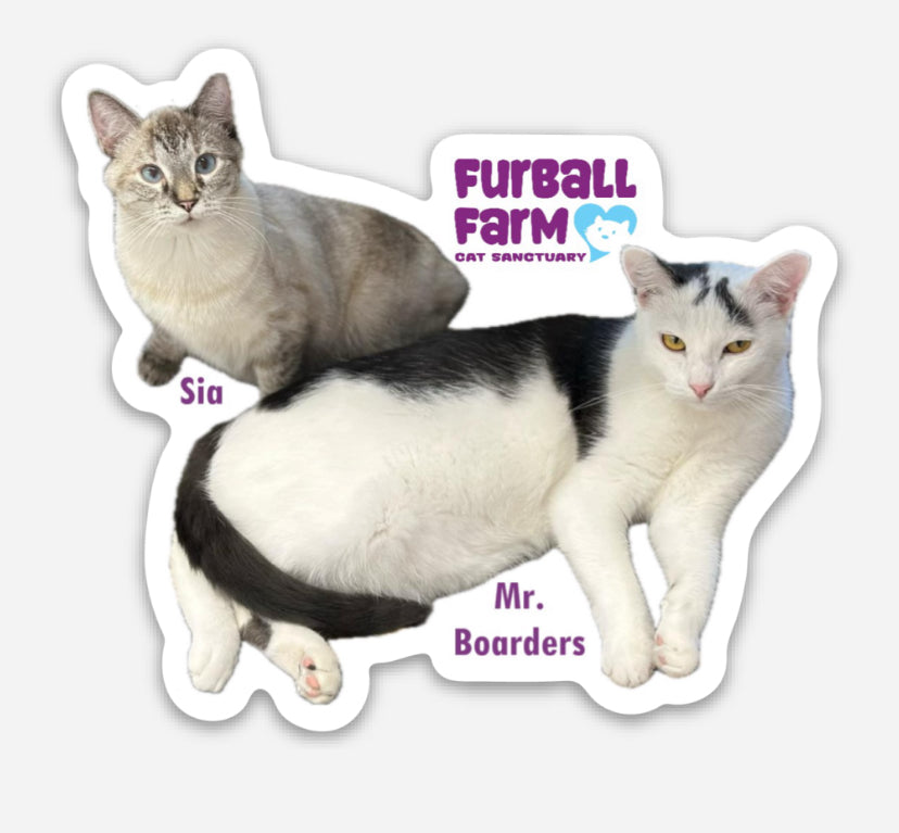 Furball Farm Cat Magnet