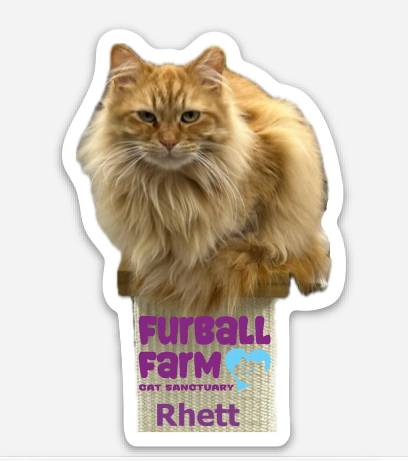 Furball Farm Cat Magnet