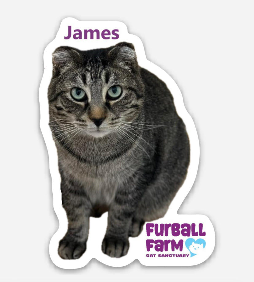 Furball Farm Cat Magnet