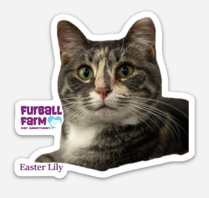 Furball Farm Cat Magnet