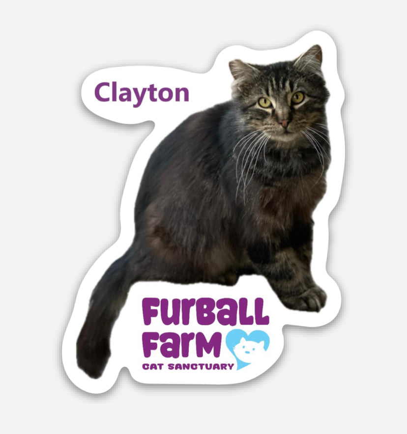 Furball Farm Cat Magnet