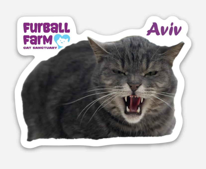 Furball Farm Cat Magnet