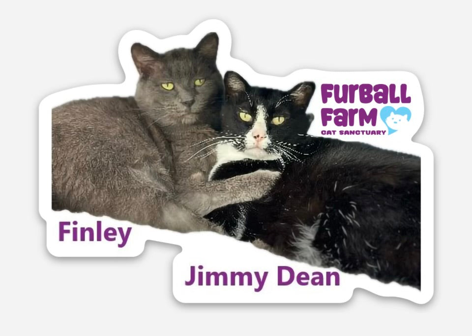 Furball Farm Cat Magnet