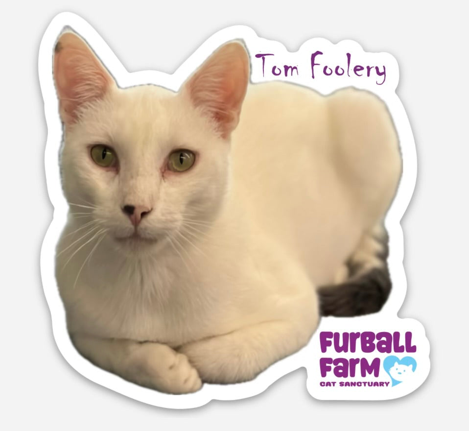 Furball Farm Cat Magnet