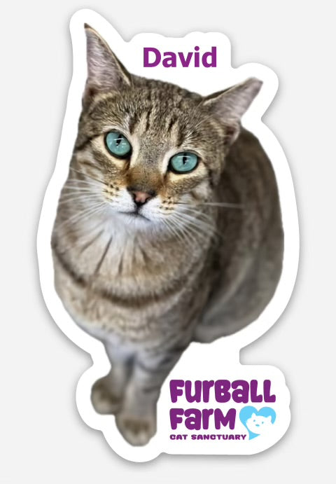 Furball Farm Cat Magnet