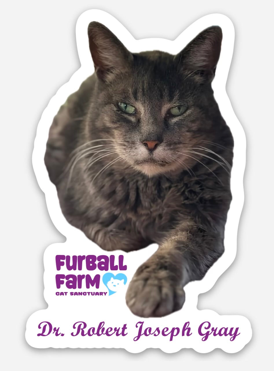 Furball Farm Cat Magnet