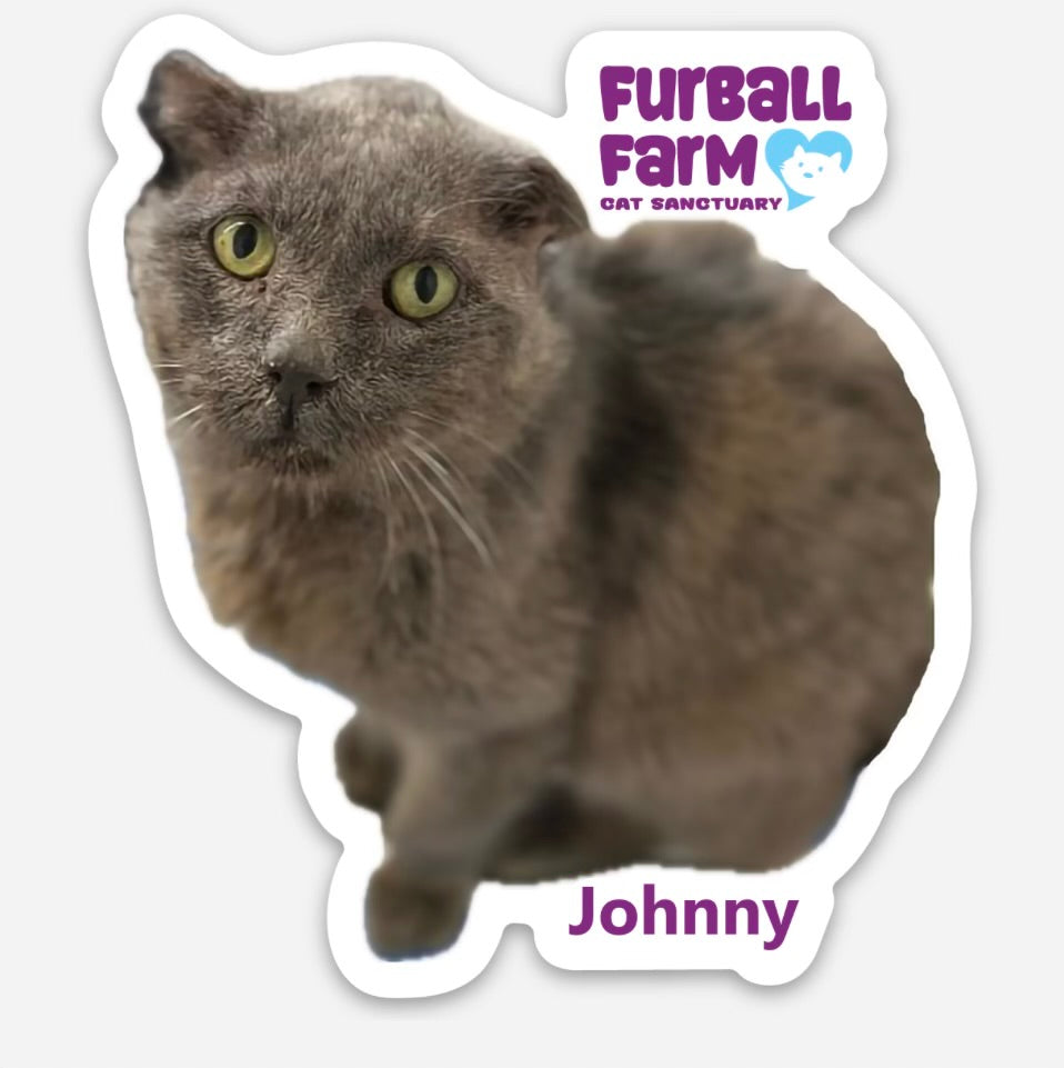 Furball Farm Cat Magnet