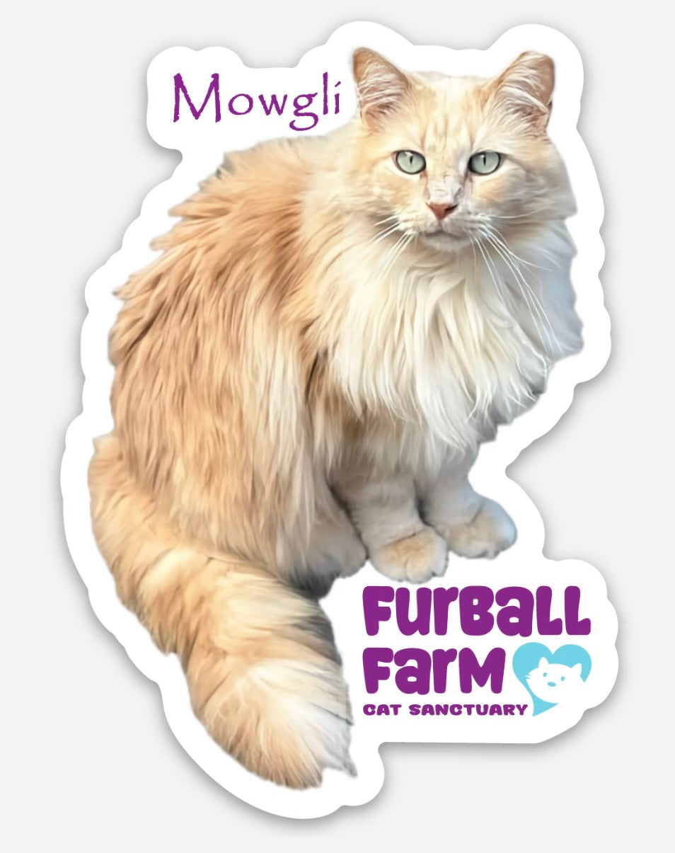 Furball Farm Cat Magnet