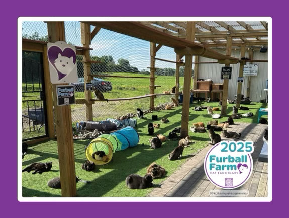 Furball Farm Calendar - 2025