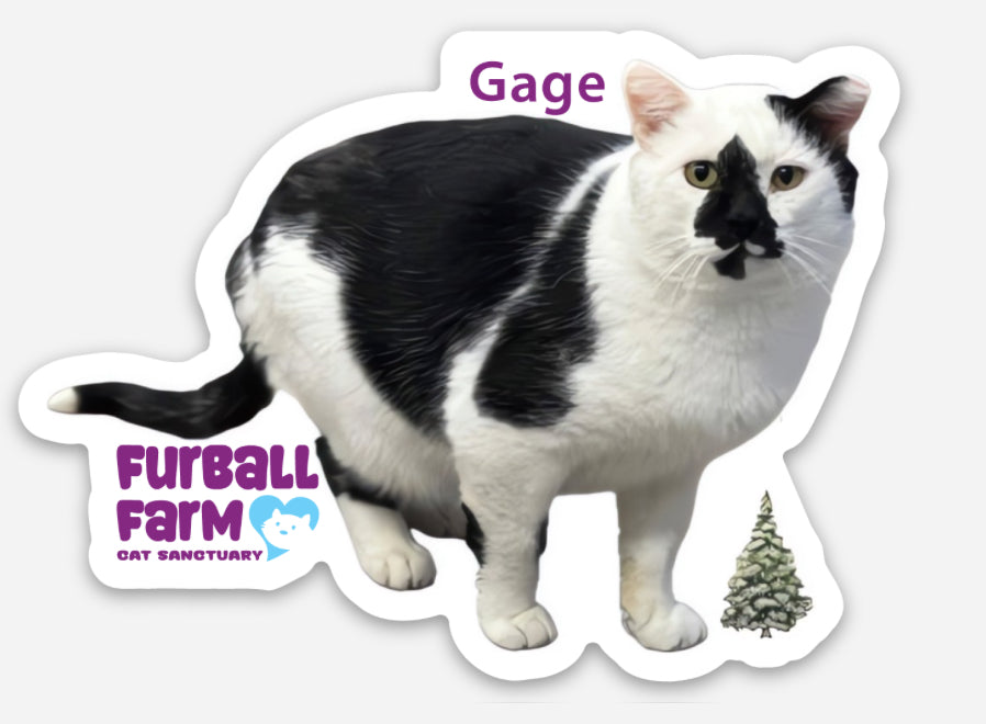 Furball Farm Cat Magnet