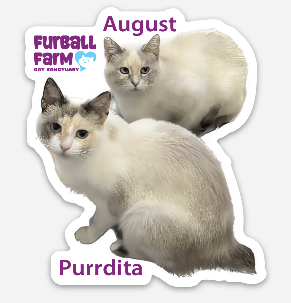 Furball Farm Cat Magnet