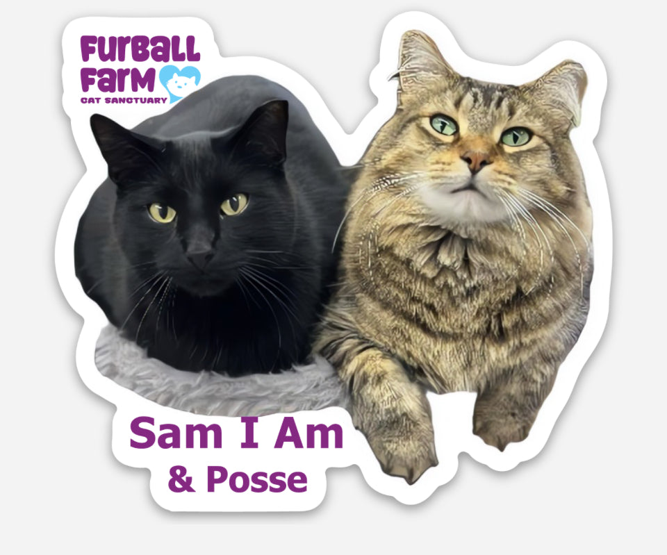 Furball Farm Cat Magnet