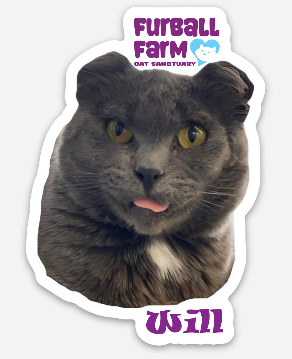 Furball Farm Cat Magnet