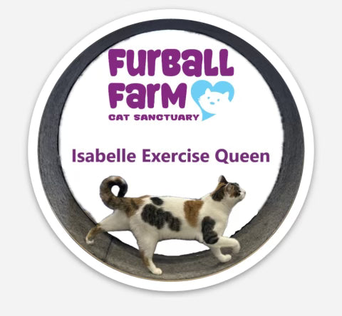 Furball Farm Cat Magnet