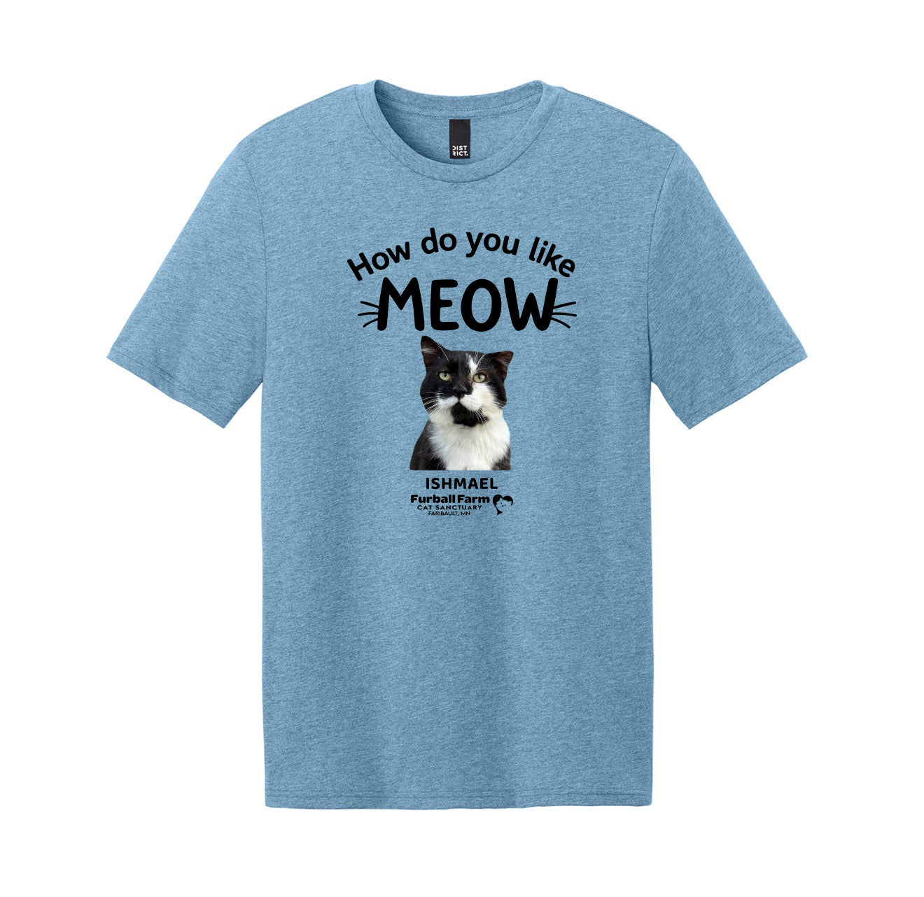 Ishmael Tee - November 2025 Cat Of Month