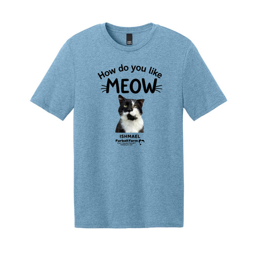 Ishmael Tee - November 2025 Cat Of Month