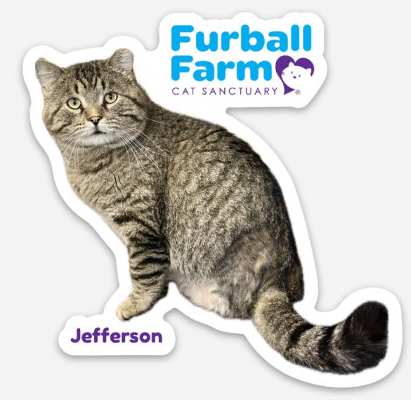 Furball Farm Cat Magnet