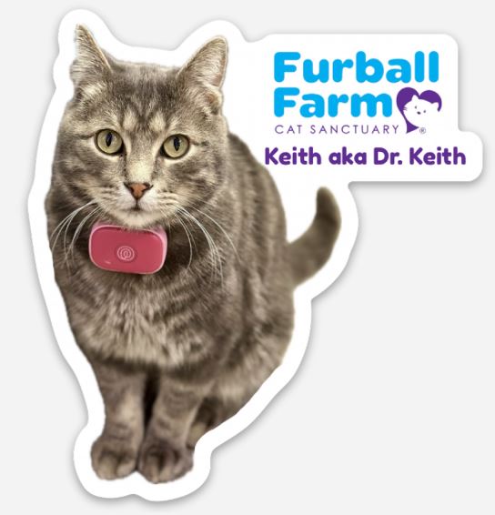 Furball Farm Cat Magnet