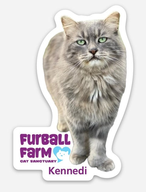 Furball Farm Cat Magnet