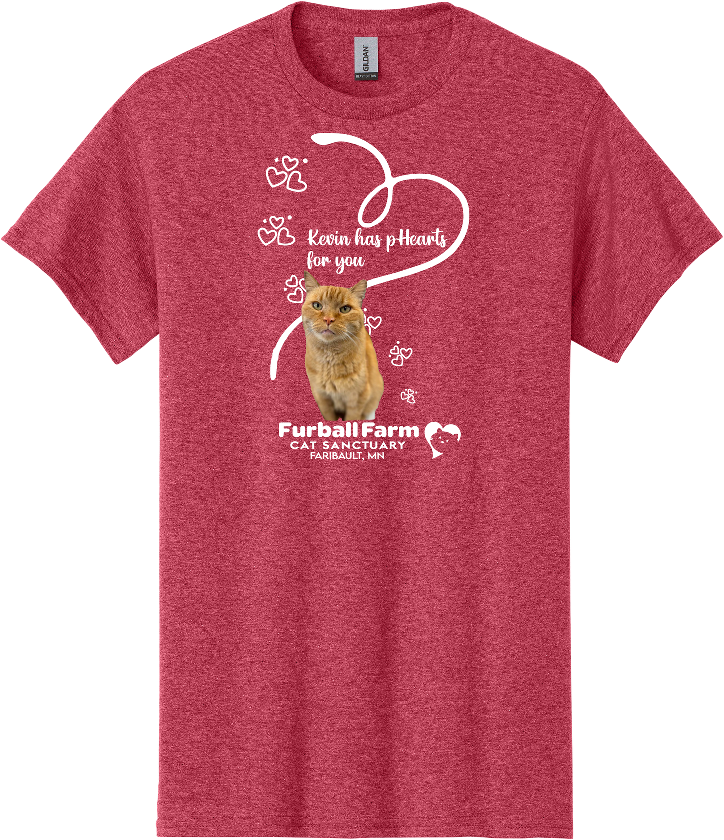 Furball Farm Cat of the Month T-Shirt - Feb 2025 - Kevin