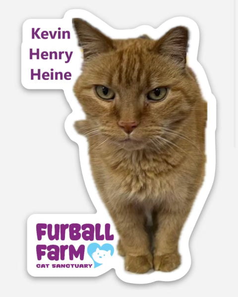 Furball Farm Cat Magnet