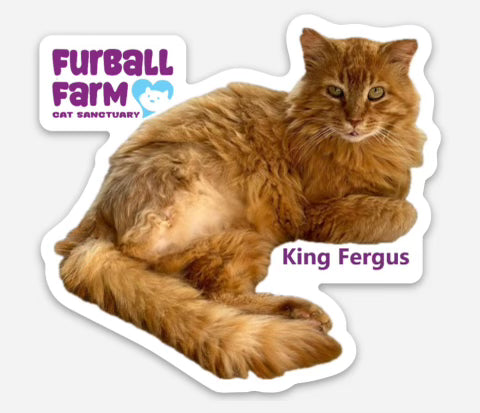 Furball Farm Cat Magnet