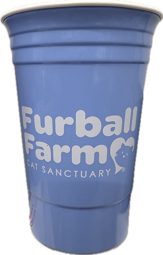 Furball Cup