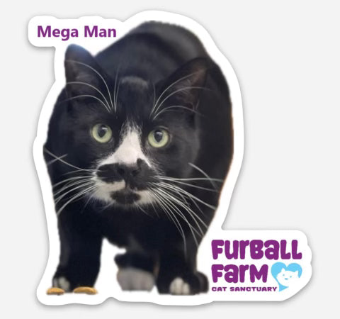 Furball Farm Cat Magnet