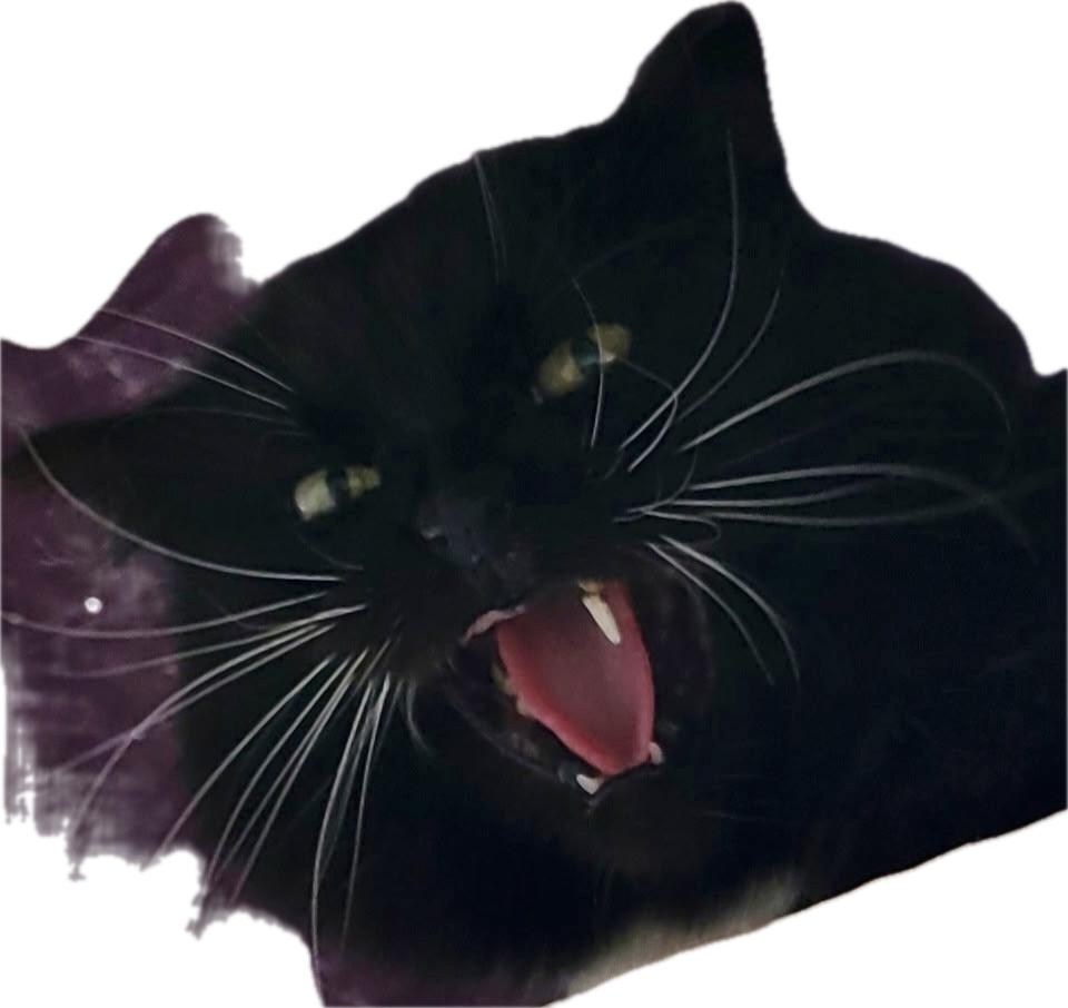 FFCS Cat Tattoos