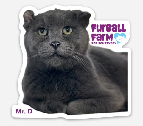 Furball Farm Cat Magnet