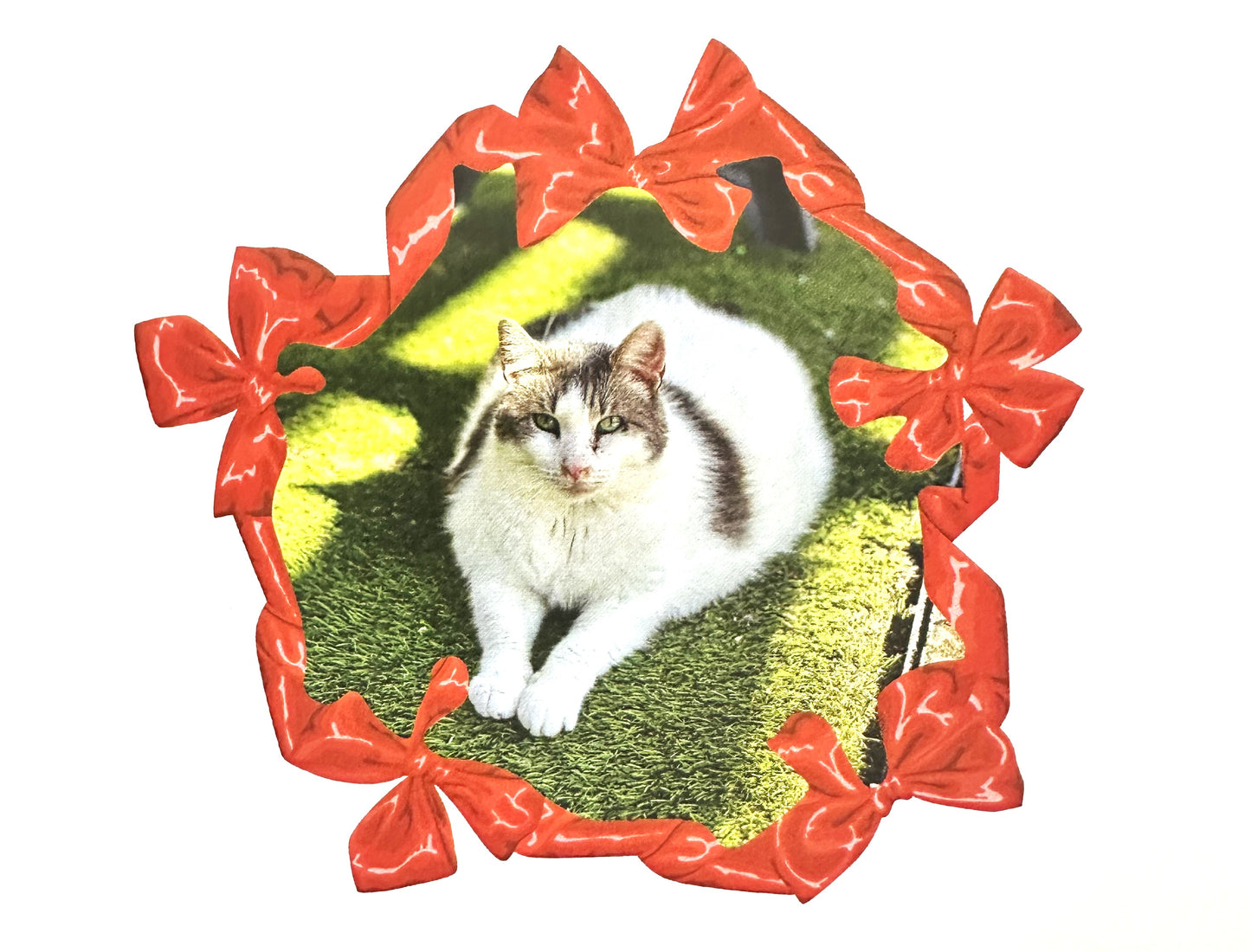 Furball Farm Holiday Cards