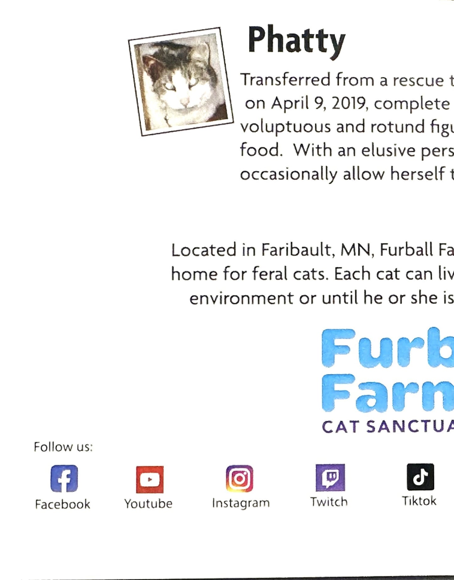 Furball Farm Holiday Cards