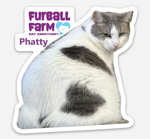 Furball Farm Cat Magnet