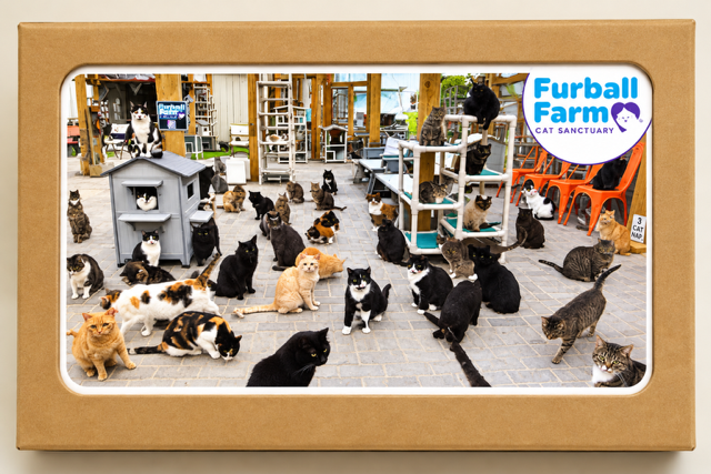 Furball Farm Greeting Cards