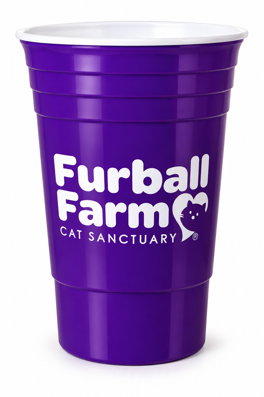 Furball Cup