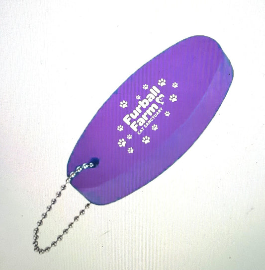 Key Chain Floaties