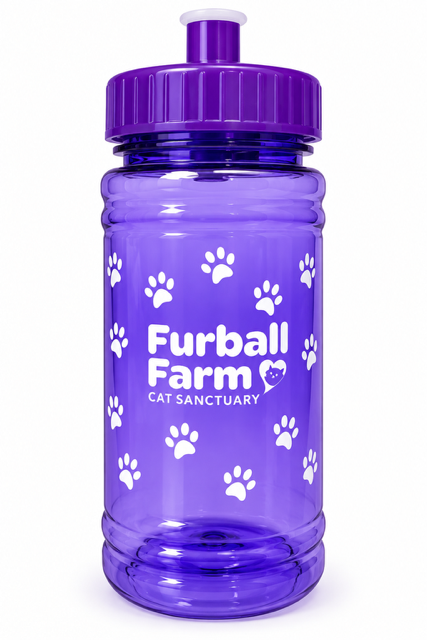 Water Bottle