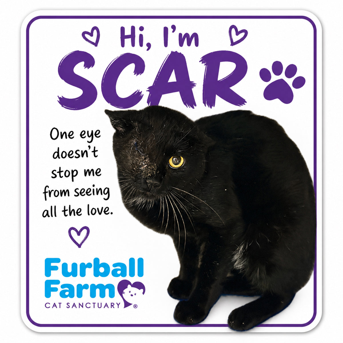Furball Farm Cat Magnet