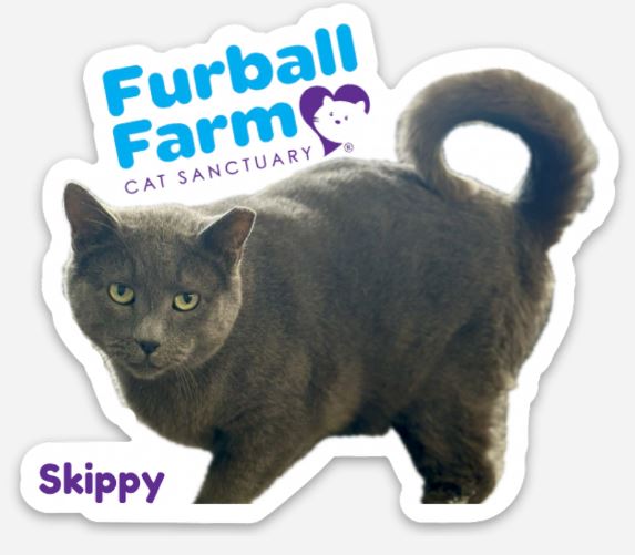 Furball Farm Cat Magnet
