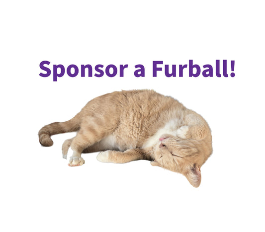 Monthly Sponsorship Program - with Keepsake